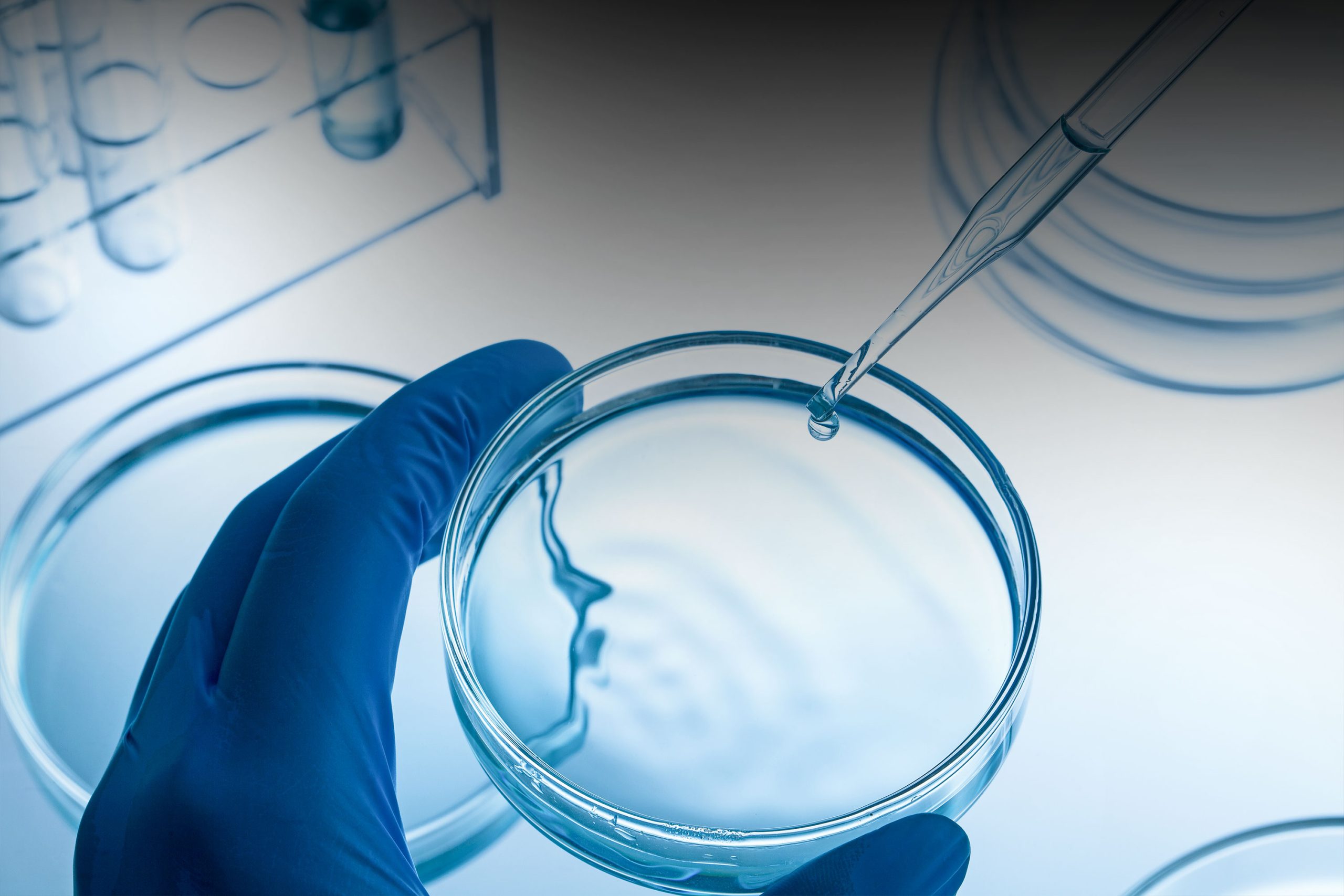 Diagnóstico In Vitro IVD